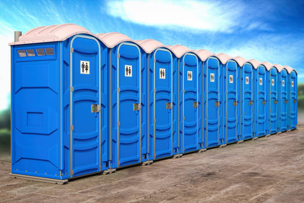 Types of Portable Toilets We Offer in Des Allemands, LA